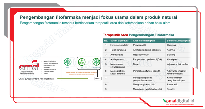 Ini Dia! Kriteria Fitofarmaka yang Masuk Formularium Fitofarmaka